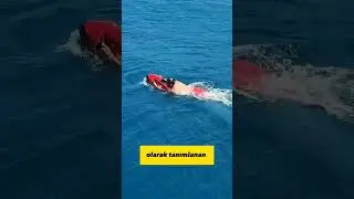 Ferrari but for underwater 🤣 