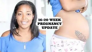 15-20 WEEK PREGNANCY UPDATE | ULTRASOUND, BUMP BOX, BELLY SHOT