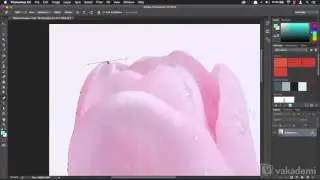 Adobe Photoshop CC 2015 Başlangıç Rehberi - Pen Tool ile Seçim İşlemleri