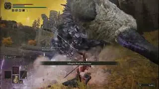 Elden Ring DLC weapons be like- just kidding (CCW Mod)