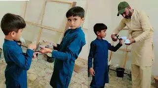Cut off the wings of all the birds || Tamam Birds Kay per cut kr diya