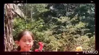 Que bonito es conocer a Cristo...