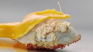 TVC Iklan Chitato 2018 - Do Us A Flavor 3 Rasa Favorit mu!