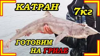 ПОЙМАЛИ АКУЛУ НА 7 КИЛО!!!( КАТРАН ) И ПРИГОТОВИЛИ НА ГРИЛЕ!!!