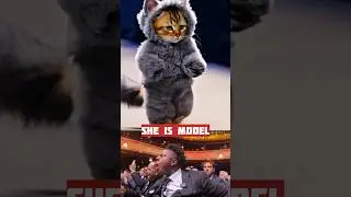 Only for cat lovers ! I made this 🤗 #cat #funny  #viral #shorts #reels