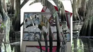 экспресс очищение организма