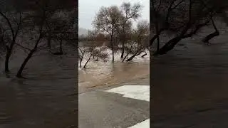 Los Angeles Rain Storm LA River