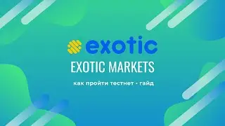 Как пройти тестнет Exotic Markets, гайд