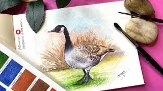 How to Paint a Bird in Watercolours