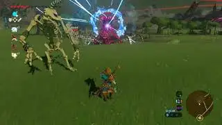 Chaos in Breath of the Wild