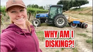 Why am I Disking the Vineyard?!