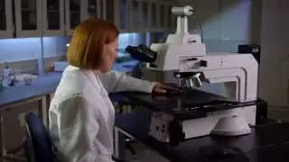 Corning® Gorilla® Glass 4 – Testing Video