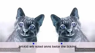 Meow Mix Tender Centers (2012-2013) In G Major and Mirror Left