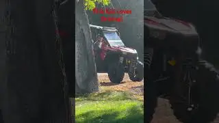 Baby drives RZR #car #rzr #polaris #countrylife #automobile #offroad