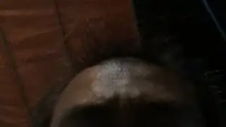 PAGELARAN KETOPRAK “Desa Seman”