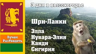 Шри-Ланка. Поездка в высокогорье. Сигирия, Нувара-Элия, Элла и Канди. ЛучшеРазУвидеть.