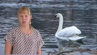 Николай Заболоцкий Лебедь в зоопарке Исполняет Гриднева Ульяна. 5 класс