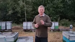 Дієвий метод зупинити крадіжку бджіл.