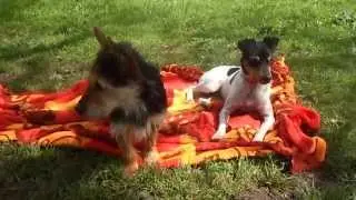 Lena und Fridolin