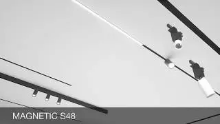 23  MAGNETIC S48