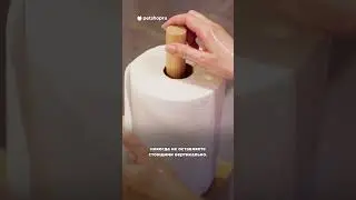 Три важных правила для прогулок попугая по квартире  