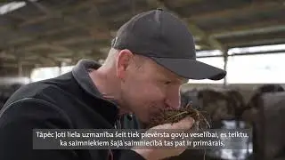 Govju slaukšanas roboti un īpašas ēdienu receptes: govju veselībai un optimālam izslaukumu apjomam.