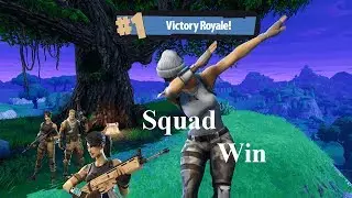 Fortnite (Crazy Game Play)