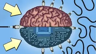 BRAIN PROGRAMMING! HOW PEOPLE ARE TURNED INTO ROBOTS!!!