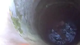 Daj v dra