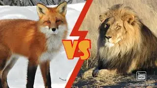 Red and Kevin