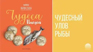 Вифезда - 25 Чудесный улов рыбы