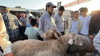 Гусфанди калон савдо зур моли курбонибоб шанбе бозор 23 июня 2023 г.