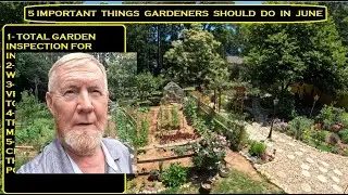 5 IMPORTANT THINGS EVERY GARDENER SHOULD DO IN EARLY JUNE