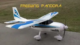 Freewing Pandora
