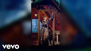 @TaylorSwift  - willow (Vertical Lyrics Video) (Live from The 63rd GRAMMYs ®)