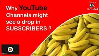 Bakit nalalagas ang mga saging?  | Explained | Tambuli Times  | Let's build community