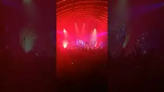 Live in Brisbane