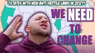 The FLAW With Reptile BANS! And A Solution...