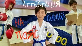 Аттестация на синий пояс по тхэквондо | 4 гып | 12 мая 2024