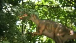 Butterflies & Dinosaurs - Brookfield Zoo