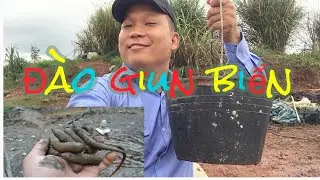 The first challenge of digging up the Sea Worm and the end