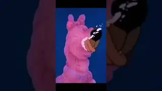 Scooby’s Just Always In His Own World