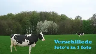 PhotoshopMasterNL: ''Hoe kun je meerdere foto's in 1 foto krijgen?'' DE TUTORIAL