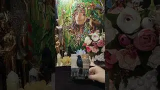 ✨Новолуние. Какая энергия идет к вам?