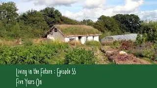 Lammas Ecovillage 5 years On : Living in the Future(Ecovillages) 55