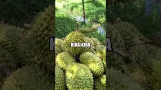 MEME REVIEW #178