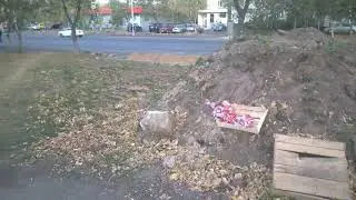 Благоустроительный маразм и свинство  в Жулебино