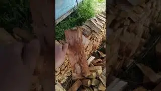 Небольшой обзор перед выкладыванием первой стенки.