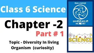 Class 6 Science Chapter 1 : The Wonderful World of Science | Part 1