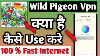 Wild Pigeon Global Proxy | Wild Pigeon Vpn App | Wild Pigeon Vpn App Kaise Use Kare|Wild Pigeon Vpn